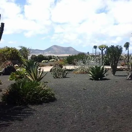 Tynira * Teguise (Lanzarote)